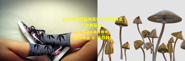 прущие крисы Аркадак