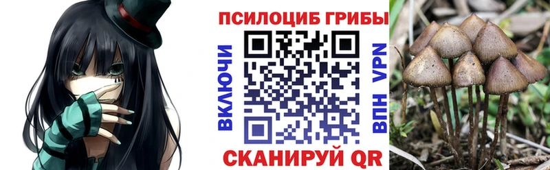 Псилоцибиновые грибы Magic Shrooms  Электрогорск 