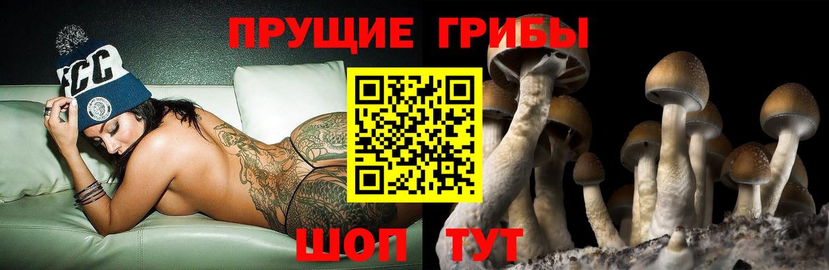 Галлюциногенные грибы MAGIC MUSHROOMS  Вход с VPN  как найти закладки  Электрогорск 